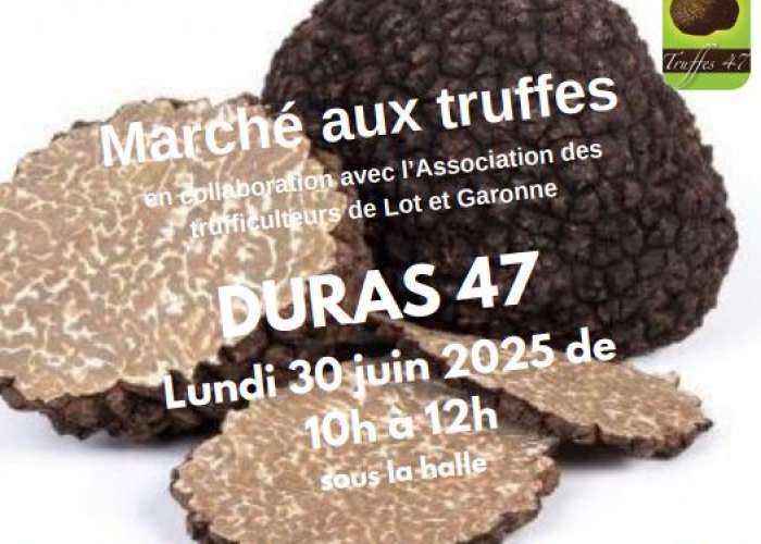 image de Marché aux truffes d'été