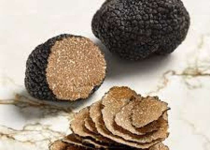 image de Marché aux truffes d'été