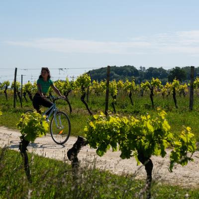 Pays De Duras By Les Coflocs 362rduit